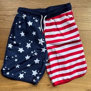 Patriotic Star and Stripe Swim Shorts